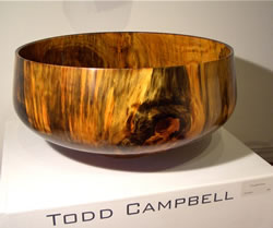 Todd Campbell