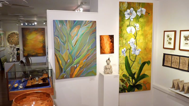 Hawaii Contemporary