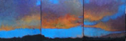 Sharon McGauley