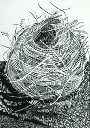 Sharon McGauley