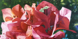 GEORGE ALLAN