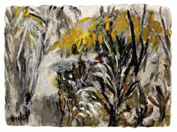 Margaret Bedell
