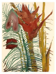 Margaret Bedell