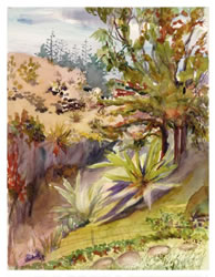 Margaret Bedell