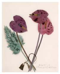 Margaret Bedell