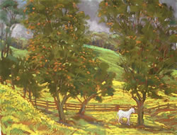 Michael Clements