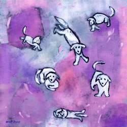 Perceptions of Dreams