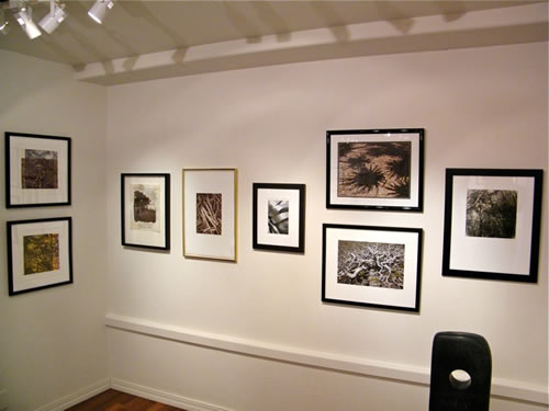 Juried Art Exhibition for East Maui Watershed Partnership