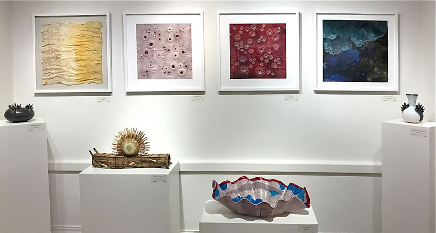 Hawaii Contemporary 2018