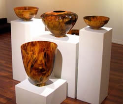 Todd Campbell