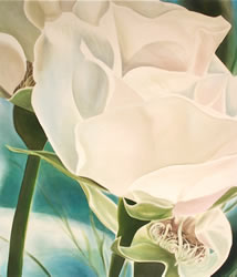 Robena